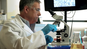 4 Millbrook Ct Algonquin,IL 60102